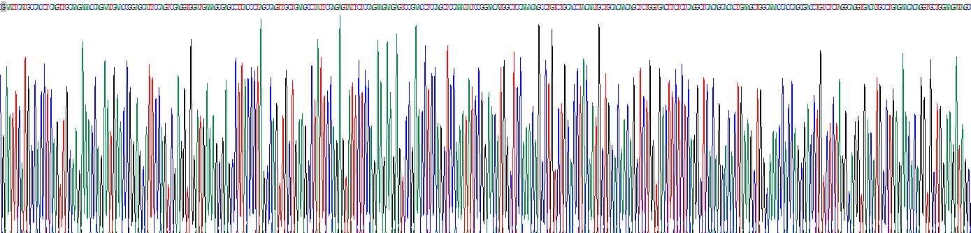 TNF受体关联因子3相互作用蛋白2(TRAF3IP2)重组蛋白