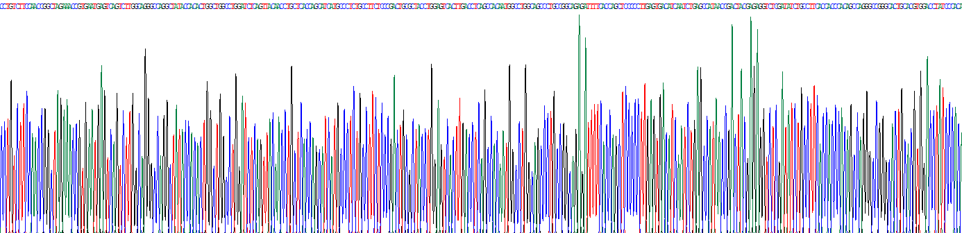 Tsukushin蛋白(TSK)重組蛋白