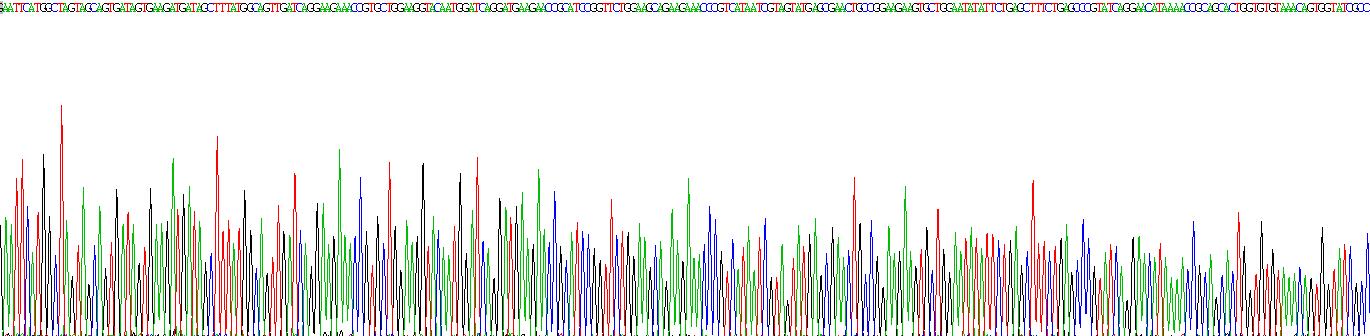 F-框蛋白42(FBXO42)重组蛋白