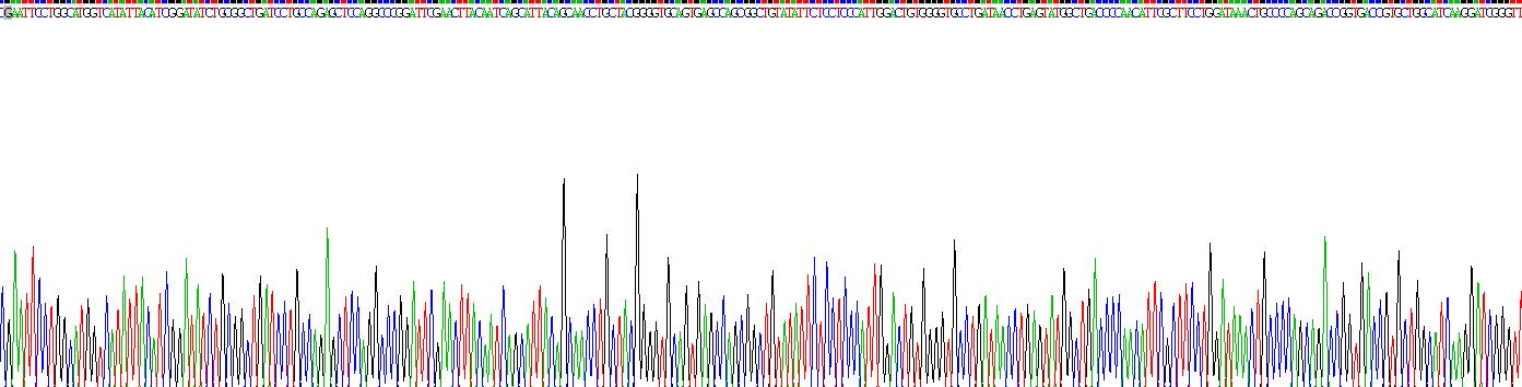 跨膜蛋白173(TMEM173)重组蛋白