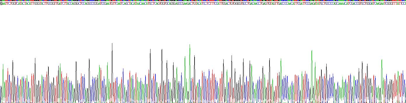 跨膜蛋白173(TMEM173)重組蛋白