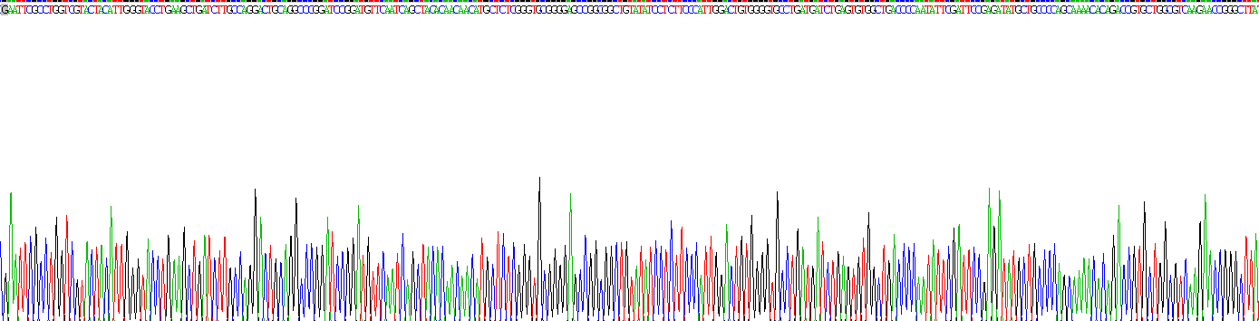 跨膜蛋白173(TMEM173)重组蛋白