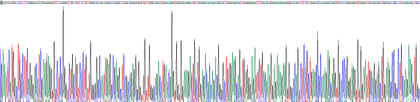 紡錘體極體成分蛋白24(SPC24)重組蛋白