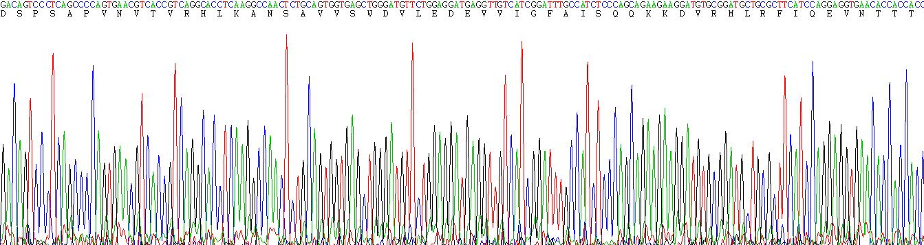 含Ⅲ型纤连蛋白域蛋白5(FNDC5)重组蛋白