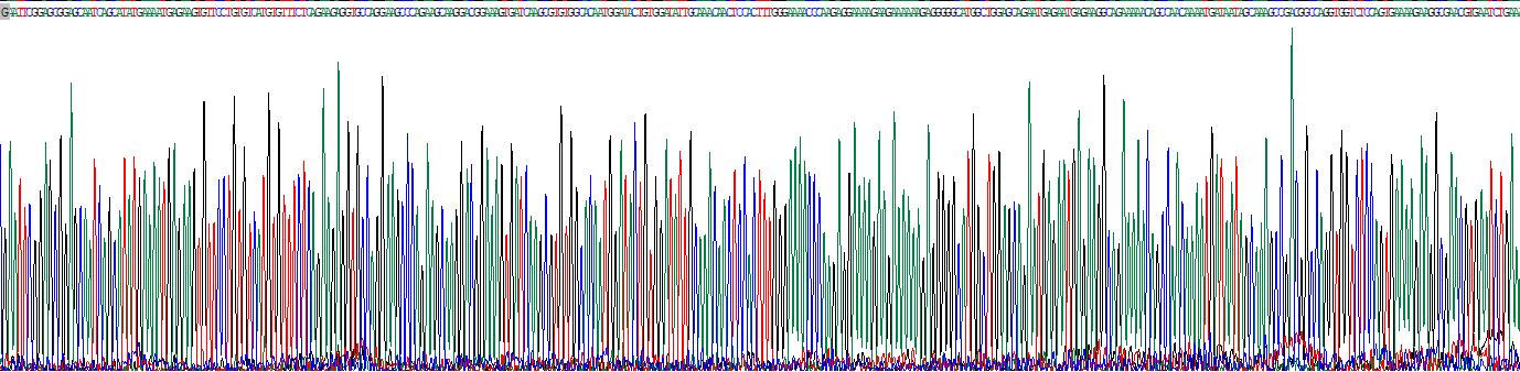 Sp140核体蛋白(SP140)重组蛋白