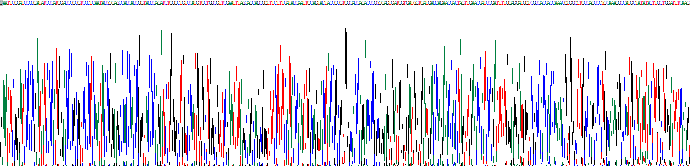 无翅型MMTV整合位点家族成员5B(WNT5B)重组蛋白