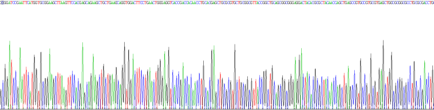 线粒体核糖体蛋白S4(MRPS4)重组蛋白