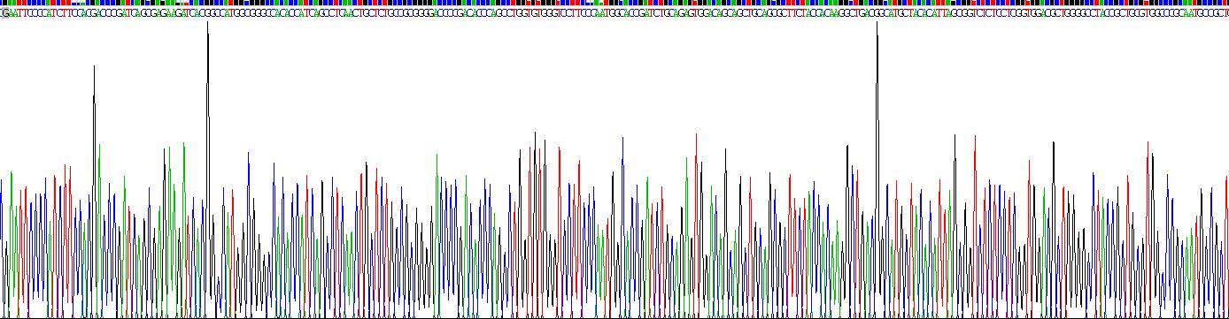基質(zhì)重塑關(guān)聯(lián)蛋白5(MXRA5)重組蛋白