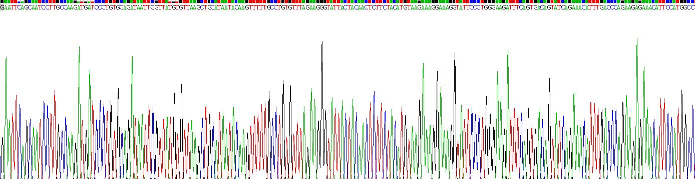 粘蛋白13(MUC13)重组蛋白