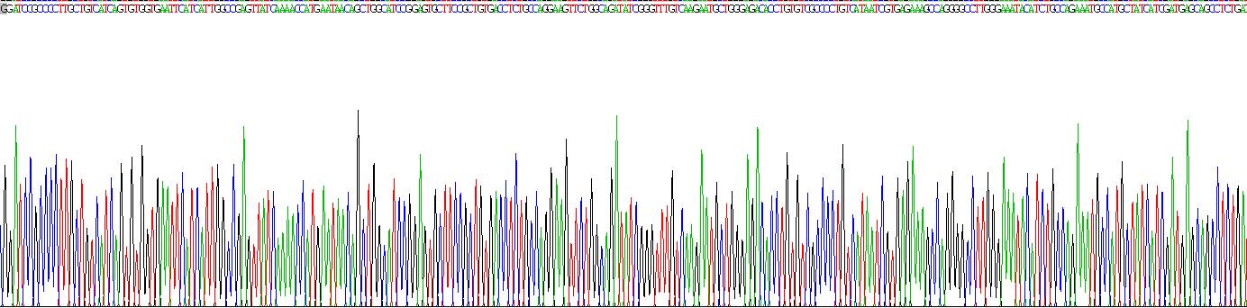 LIM衰老细胞抗原样域蛋白1(LIMS1)重组蛋白