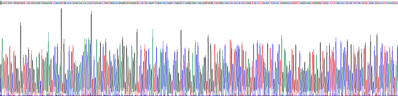 同源框蛋白D9(HOXD9)重组蛋白