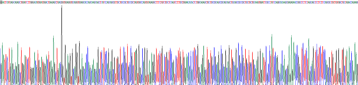 同源框蛋白D13(HOXD13)重組蛋白