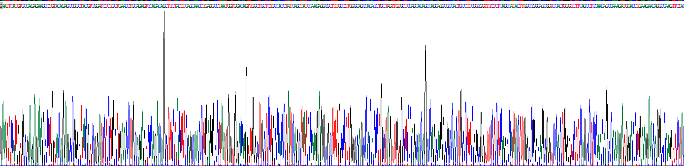 同源框蛋白D12(HOXD12)重組蛋白