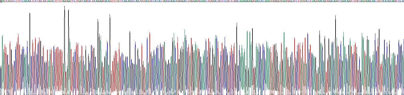 同源框蛋白D10(HOXD10)重组蛋白
