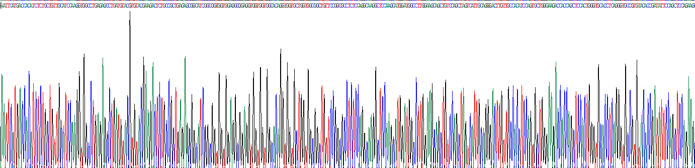 同源框蛋白C13(HOXC13)重组蛋白
