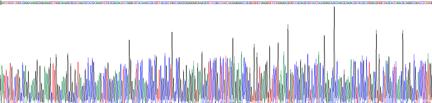 组蛋白1簇H4a(HIST1H4A)重组蛋白