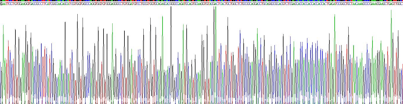 封閉蛋白9(CLDN9)重組蛋白