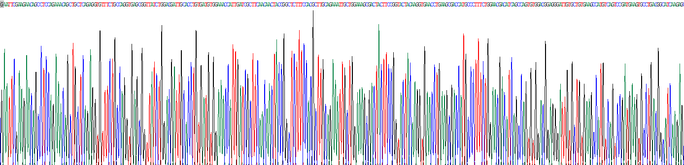 ERO1樣蛋白(ERO1L)重組蛋白