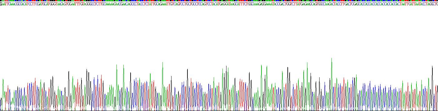 防御素β119(DEFb119)重组蛋白