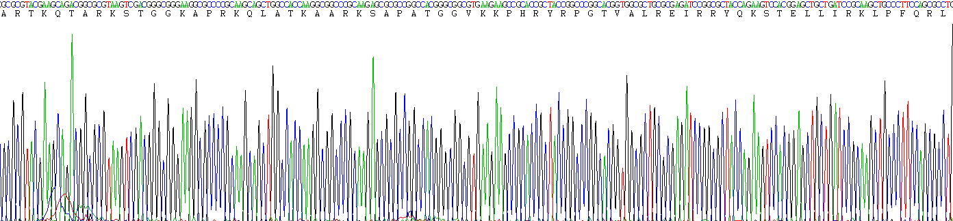 组蛋白2簇H3a(HIST2H3A)重组蛋白