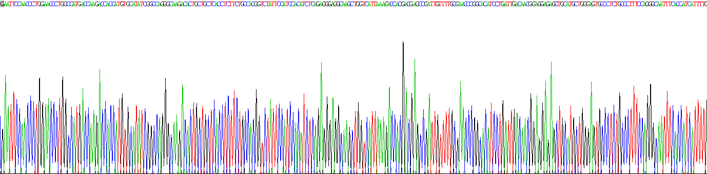 跨膜蛋白2样蛋白(TMEM2L)重组蛋白