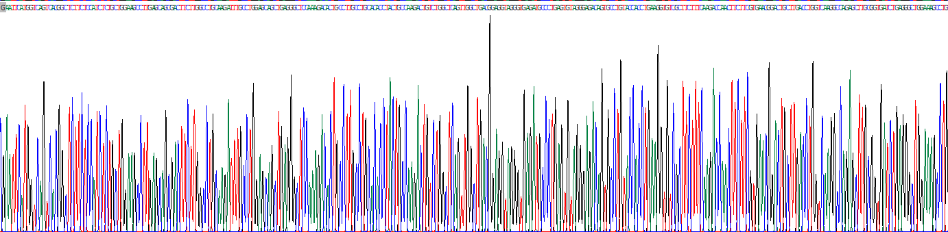 含三联基元蛋白56(TRIM56)重组蛋白