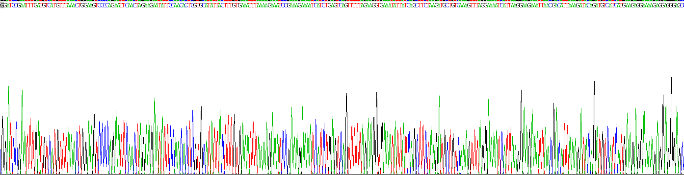 含Mab21域蛋白1(MB21D1)重组蛋白
