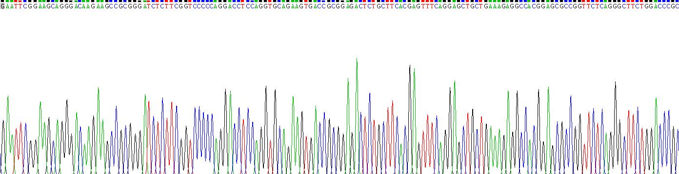 序列相似家族132成员A(FAM132A)重组蛋白