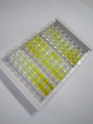 酸性成纤维细胞生长因子(FGF1)检测试剂盒(酶联免疫吸附试验法)