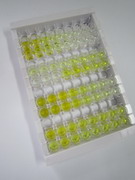 干扰素α(IFNa)检测试剂盒(酶联免疫吸附试验法)