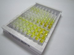 趋化因子C-X3-C-基元配体1(CX3CL1)检测试剂盒(酶联免疫吸附试验法)