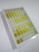 干扰素γ(IFNg)检测试剂盒(酶联免疫吸附试验法)