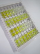 胰岛素样生长因子结合蛋白1(IGFBP1)检测试剂盒(酶联免疫吸附试验法)