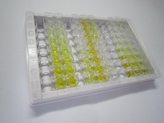 白介素13(IL13)检测试剂盒(酶联免疫吸附试验法)