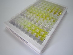 白介素1α(IL1a)检测试剂盒(酶联免疫吸附试验法)
