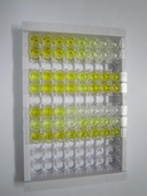 白介素5(IL5)检测试剂盒(酶联免疫吸附试验法)