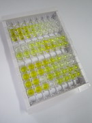 白介素6(IL6)检测试剂盒(酶联免疫吸附试验法)