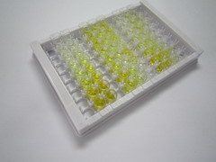 白介素8(IL8)检测试剂盒(酶联免疫吸附试验法)