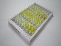 单核细胞趋化蛋白2(MCP2)检测试剂盒(酶联免疫吸附试验法)