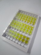 巨噬细胞集落刺激因子(MCSF)检测试剂盒(酶联免疫吸附试验法)