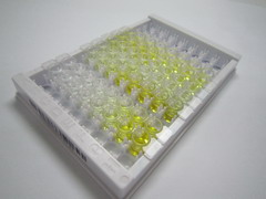 基质金属蛋白酶1(MMP1)检测试剂盒(酶联免疫吸附试验法)