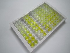 转化生长因子β诱导蛋白(TGFbI)检测试剂盒(酶联免疫吸附试验法)