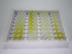 胃蛋白酶原C(PGC)檢測(cè)試劑盒(酶聯(lián)免疫吸附試驗(yàn)法)