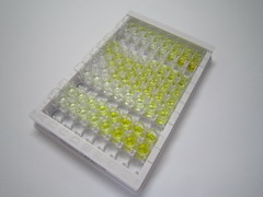 血小板因子4(PF4)检测试剂盒(酶联免疫吸附试验法)