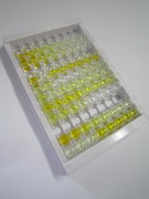 载脂蛋白C1(APOC1)检测试剂盒(酶联免疫吸附试验法)