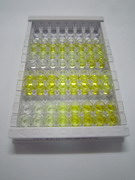 热休克蛋白47(HSP47)检测试剂盒(酶联免疫吸附试验法)