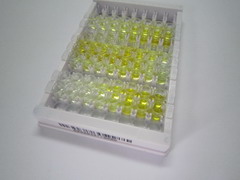 胰岛素样生长因子结合蛋白6(IGFBP6)检测试剂盒(酶联免疫吸附试验法)