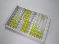 谷胱甘肽过氧化酶1(GPX1)检测试剂盒(酶联免疫吸附试验法)