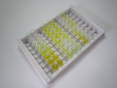 核糖核酸酶A(RNase A)检测试剂盒(酶联免疫吸附试验法)