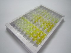 神经元正五聚蛋白Ⅰ(NPTX1)检测试剂盒(酶联免疫吸附试验法)